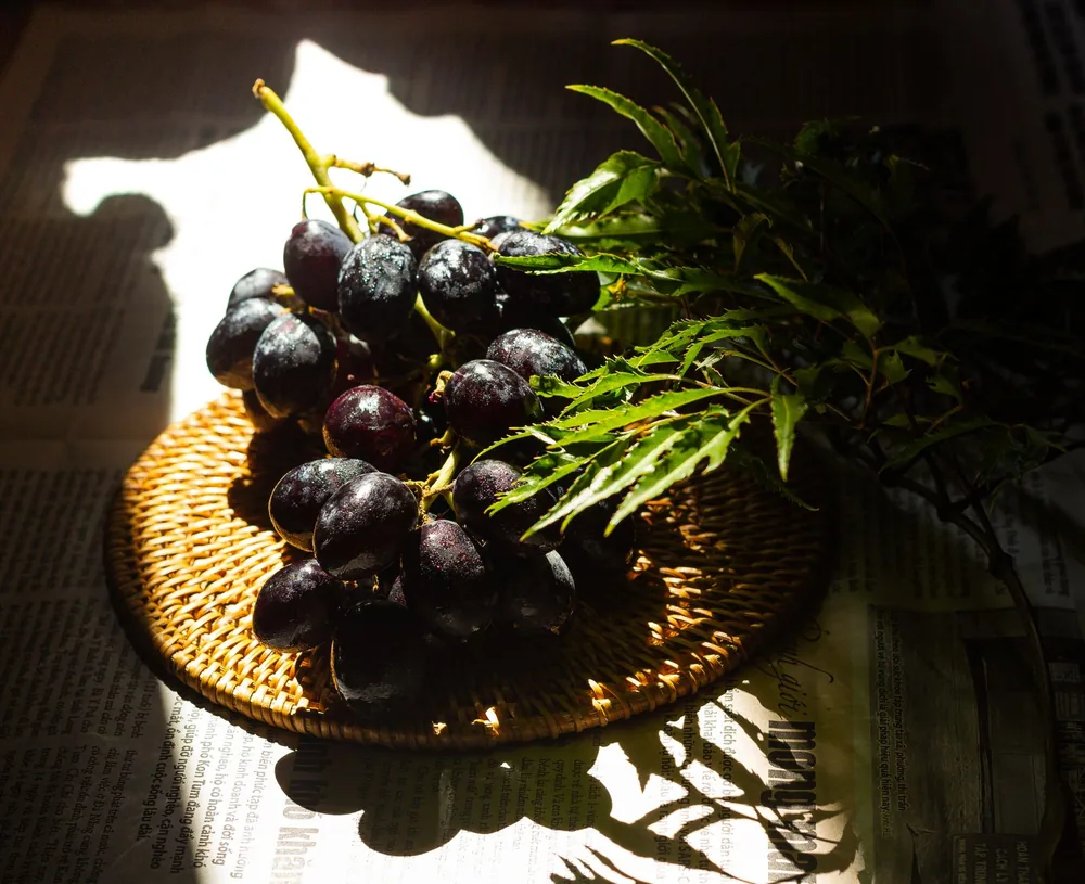 Black grapes on a wicker tray basking in natural sunlight, creating a playful shadow pattern