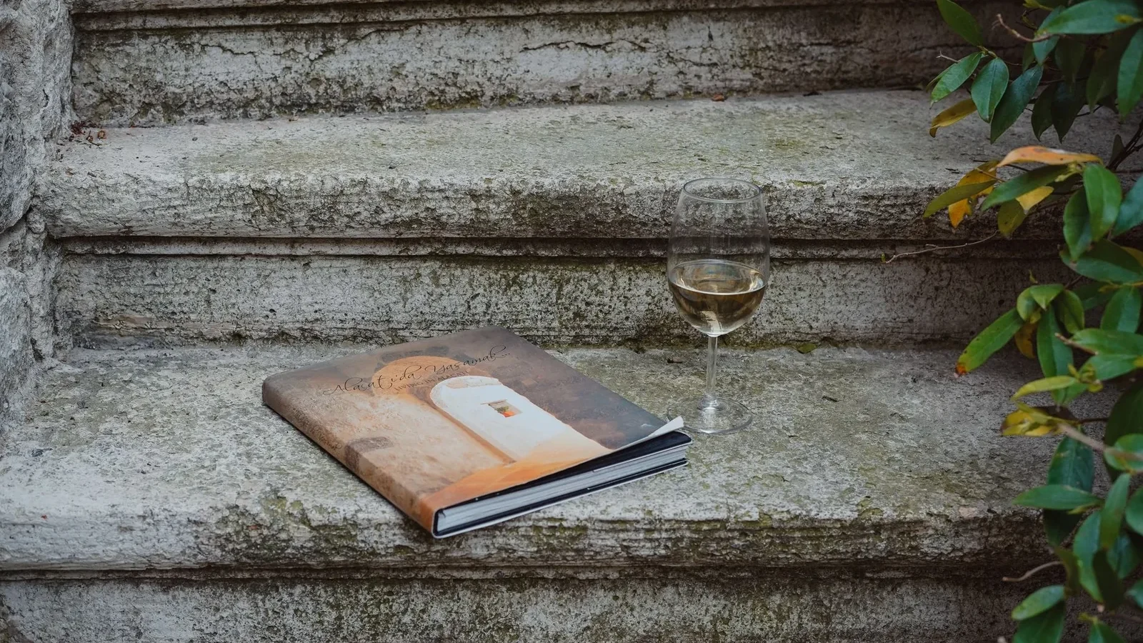 Book and wine glass on rustic stone steps, surrounded by greenery, creating a serene atmosphere