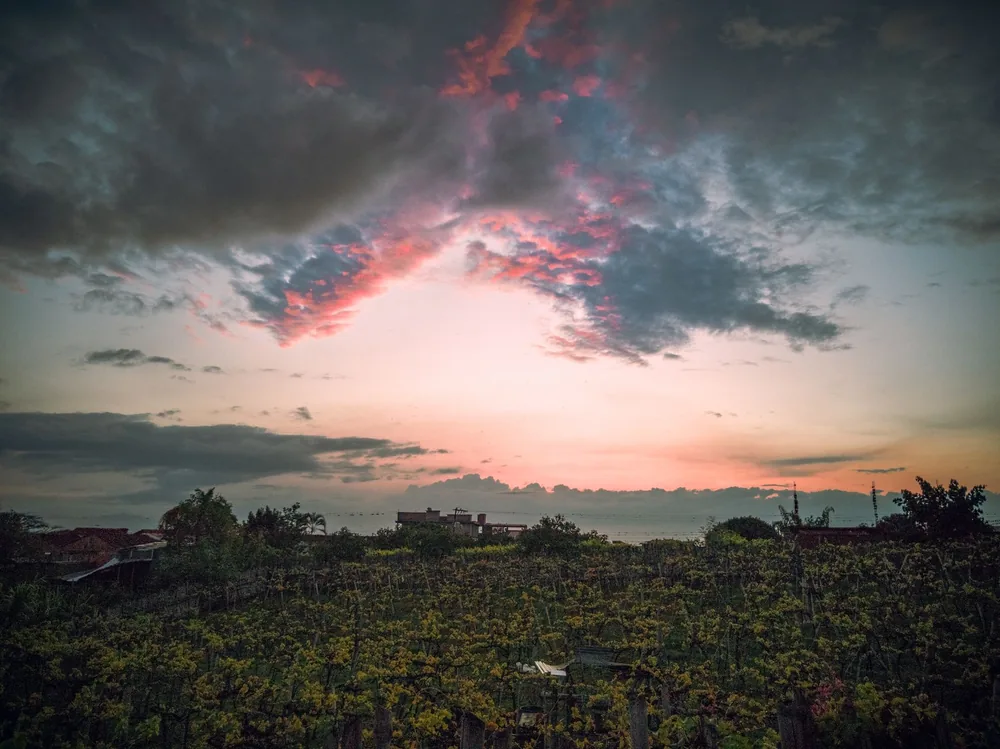 Captivating sunset with clouds over a lush vineyard, ideal for nature lovers