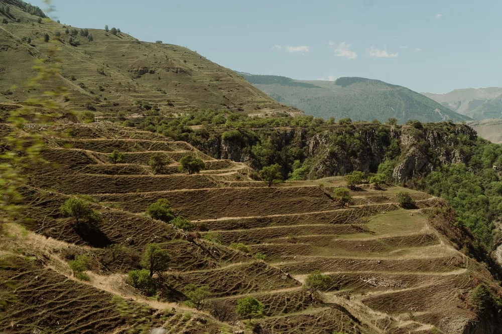 Capture of vast terraced hillsides enveloped in lush greenery, showcasing serene countryside beauty