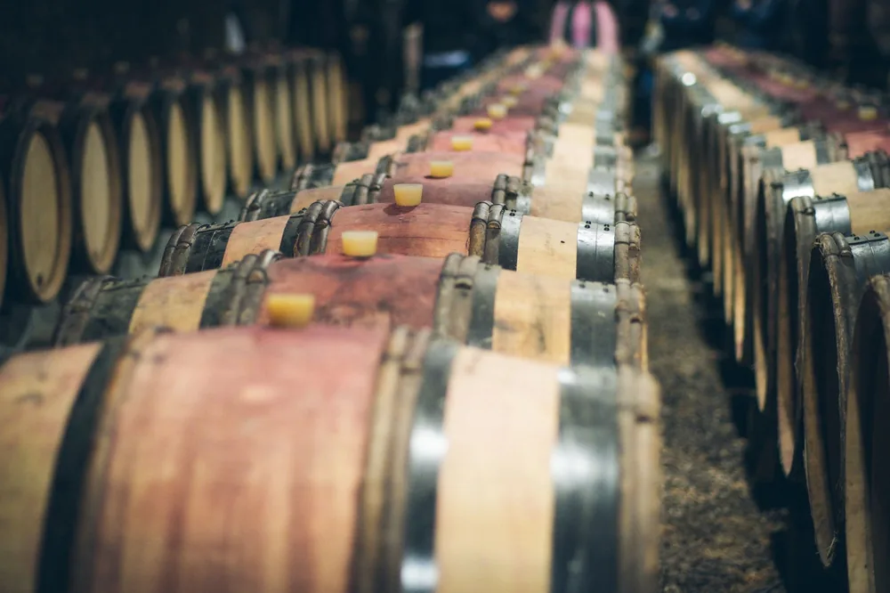 Close-up view of aligned wooden wine barrels aging in a dimly lit cellar