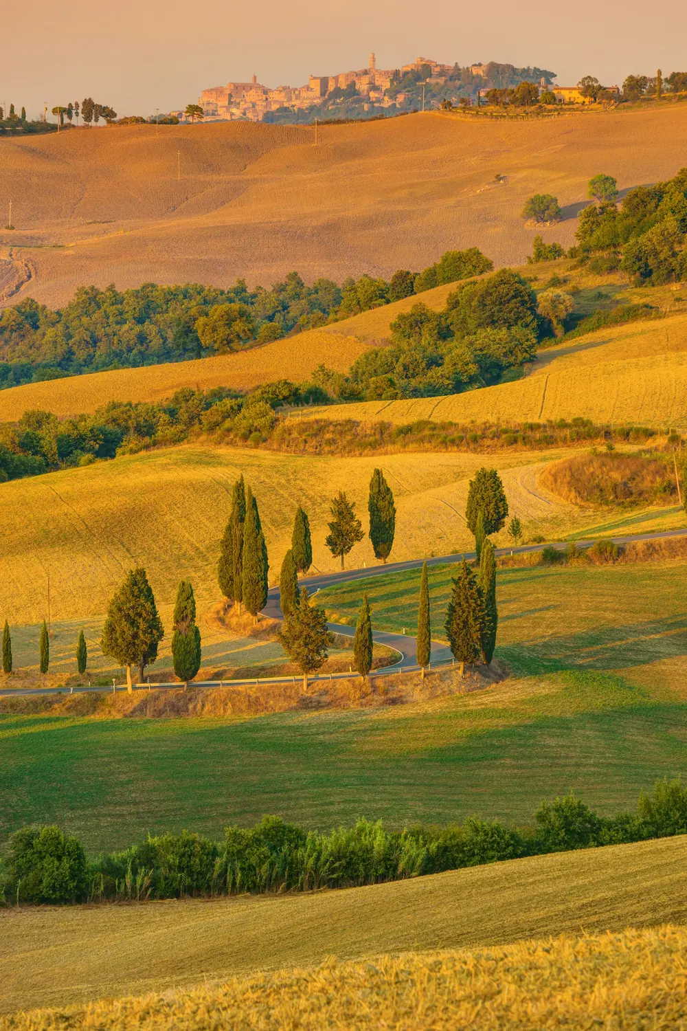 Autumn vineyards and cypress trees below a Tuscan hill town