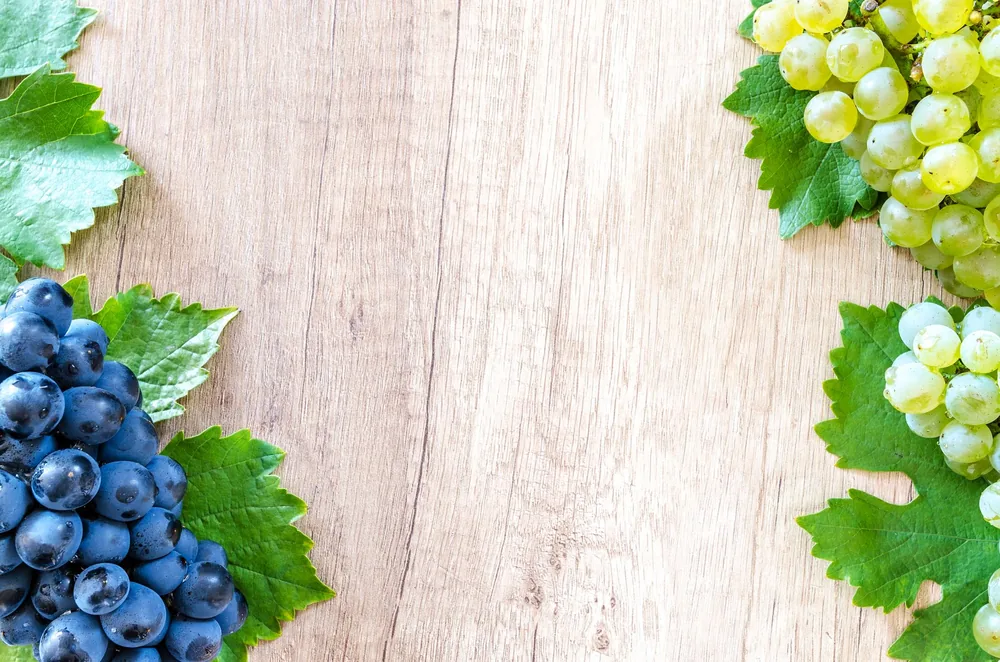 Clusters of fresh blue and green grapes with leaves on a wooden surface