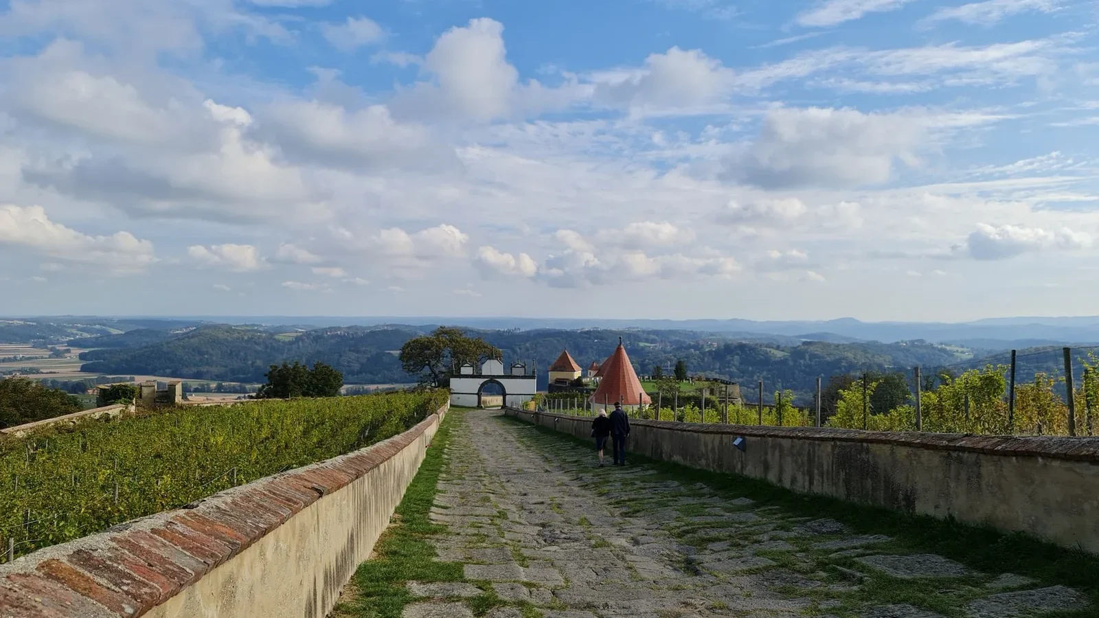 Cobblestone pathway leading to a grand castle with towers and lush vineyards under a clear blue sky