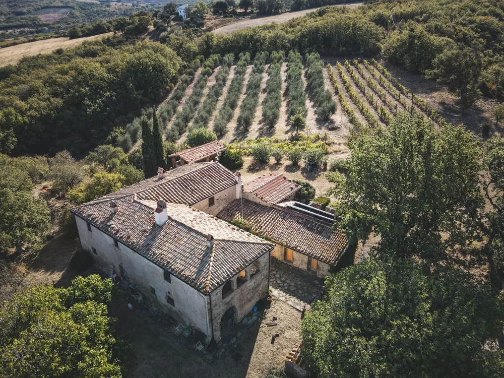 Countryside farmhouse with vineyard surrounded by lush greenery