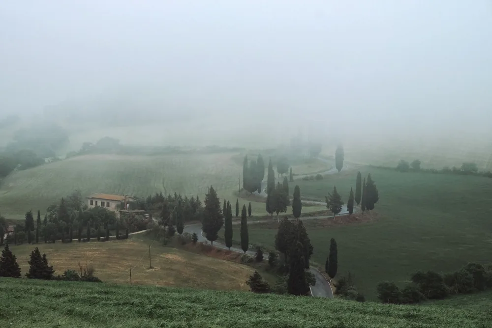 Countryside landscape with fog, featuring a winding road and farmhouse amid trees