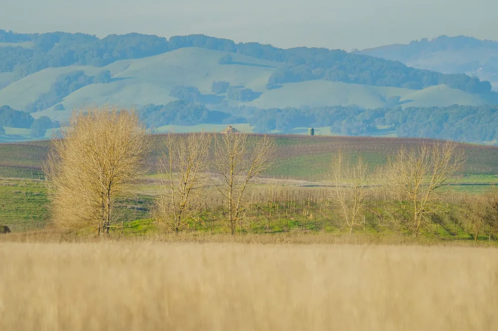 Countryside scene with fields, trees, and lush rolling hills in the background