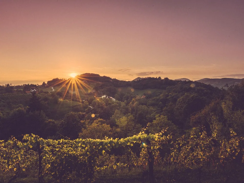 Countryside view with a sunset over lush green hills and vineyards