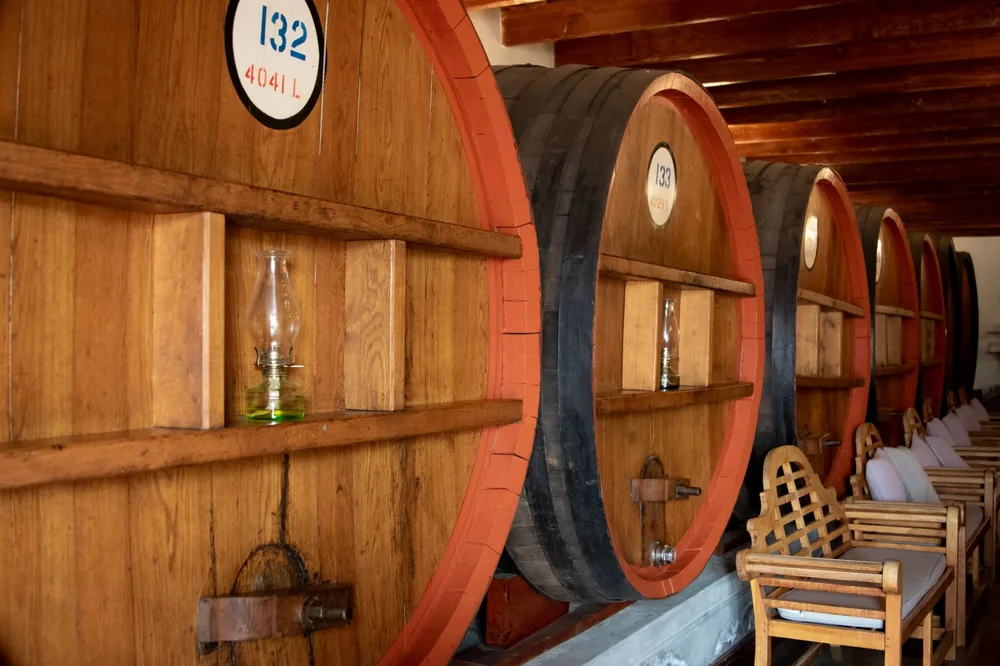 Cozy wine cellar interior featuring large wooden barrels and seating area