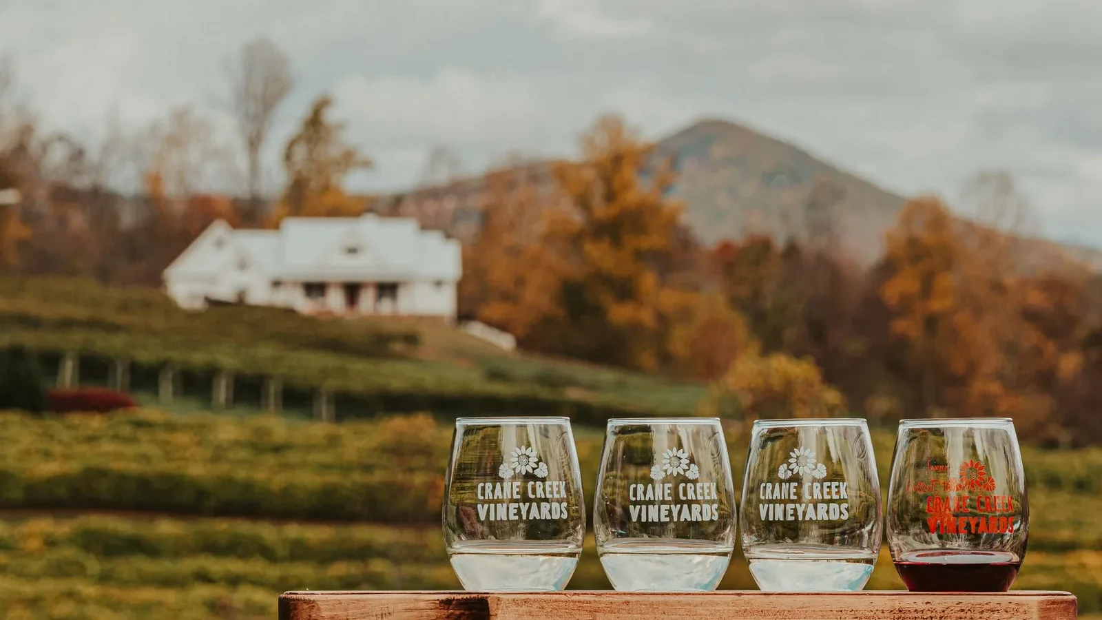 Crystal glasses of wine placed on wooden table near vineyards located in mountainous countryside against cloudy sky on autumn day