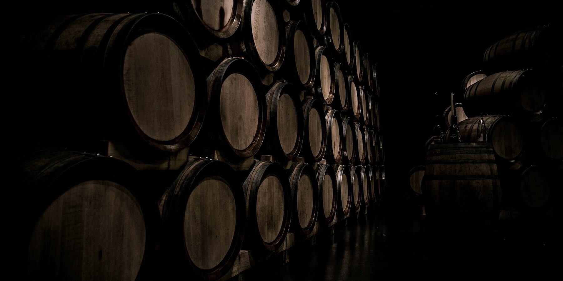 Oak barrels resting in a wine cellar