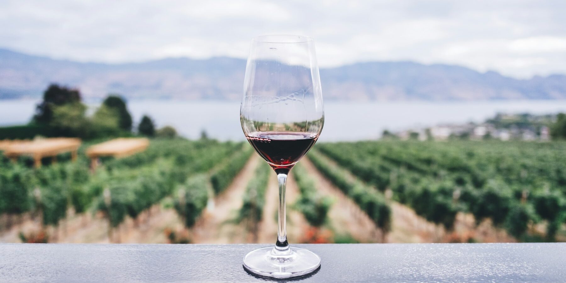 A glass of white wine on a table