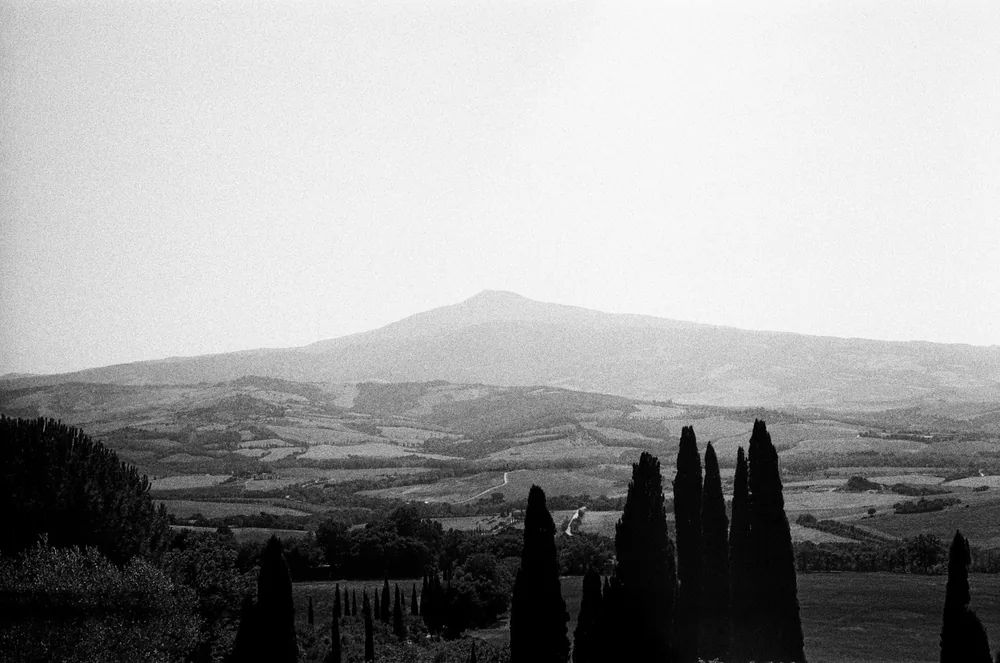 Cypress trees silhouette against a misty mountain and rolling Tuscan farmland