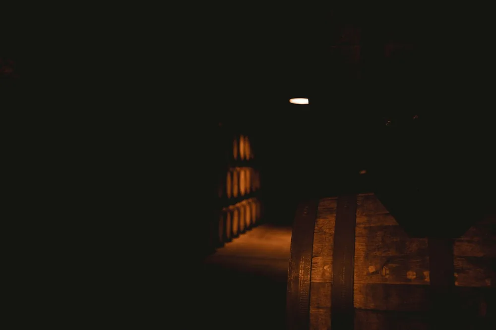 Dark cellar with rows of wooden barrels