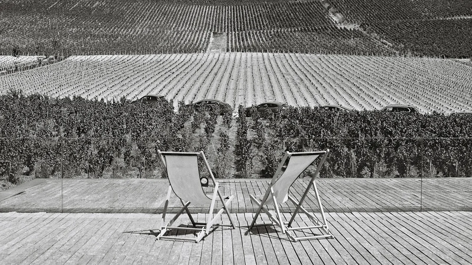 Deck chairs on wooden deck overlooking vineyard