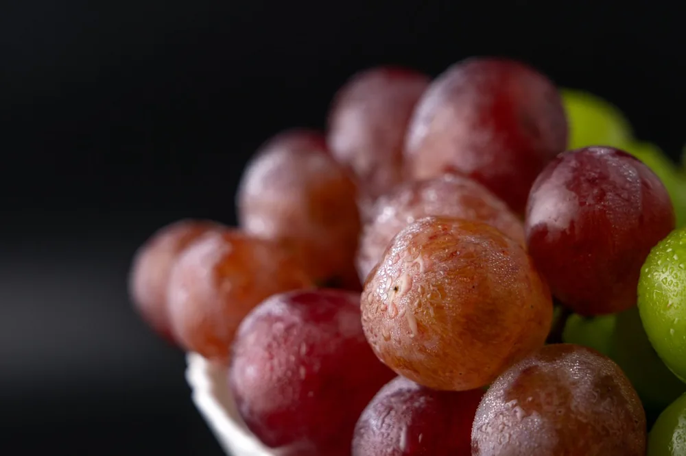 Dewy red and green grapes against a black background, showcasing their freshness