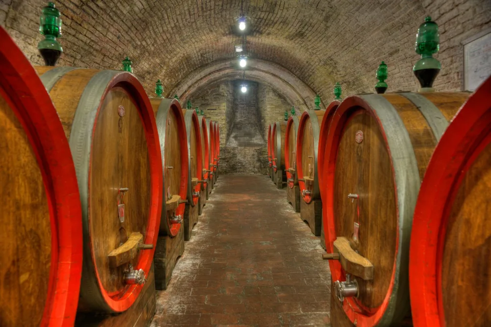 Dimly lit wine cellar with rows of large oak barrels, creating a rustic atmosphere