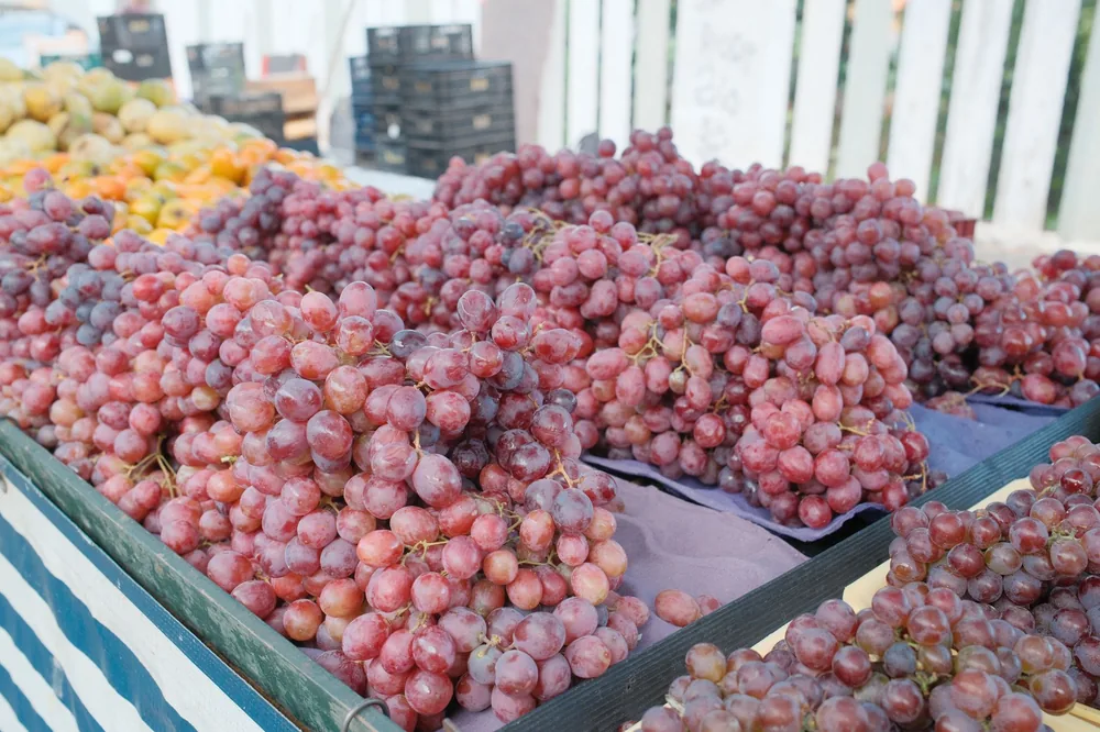 Display of fresh red grapes available at an outdoor farmers market, ideal for food and lifestyle themes