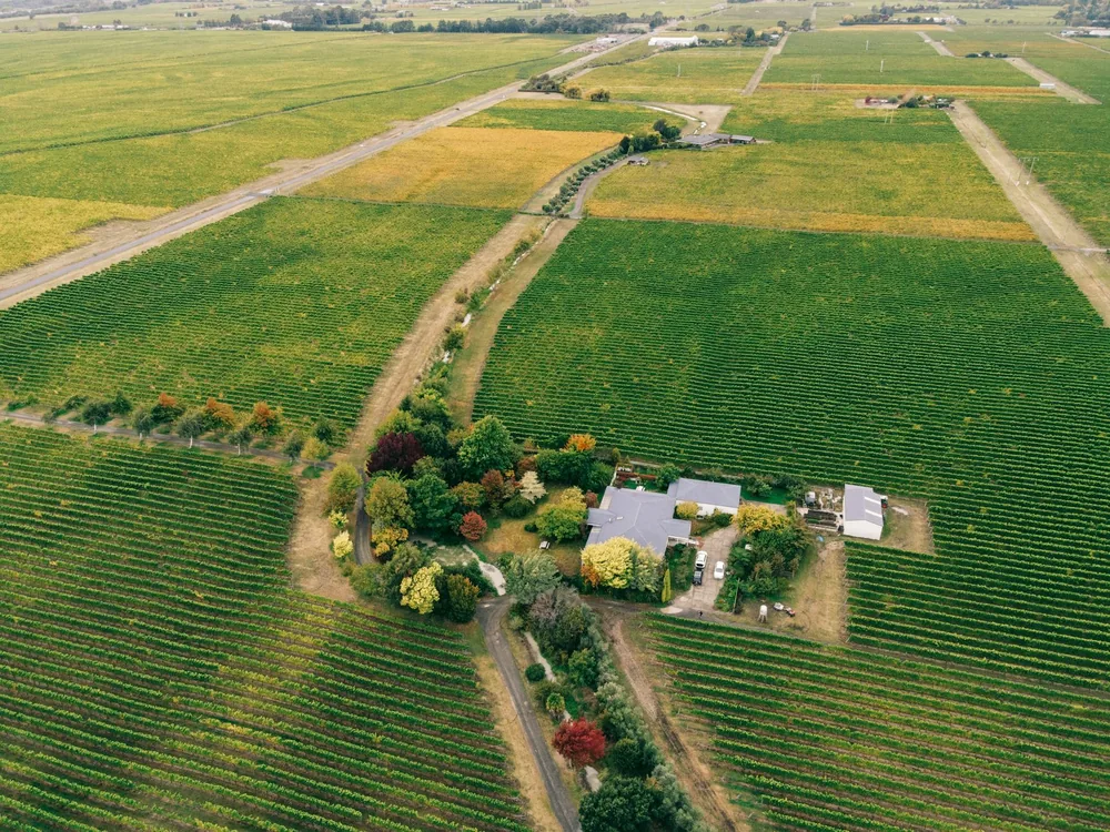 Drone capture of vast vineyards in autumn, showcasing colorful foliage and a central farmhouse