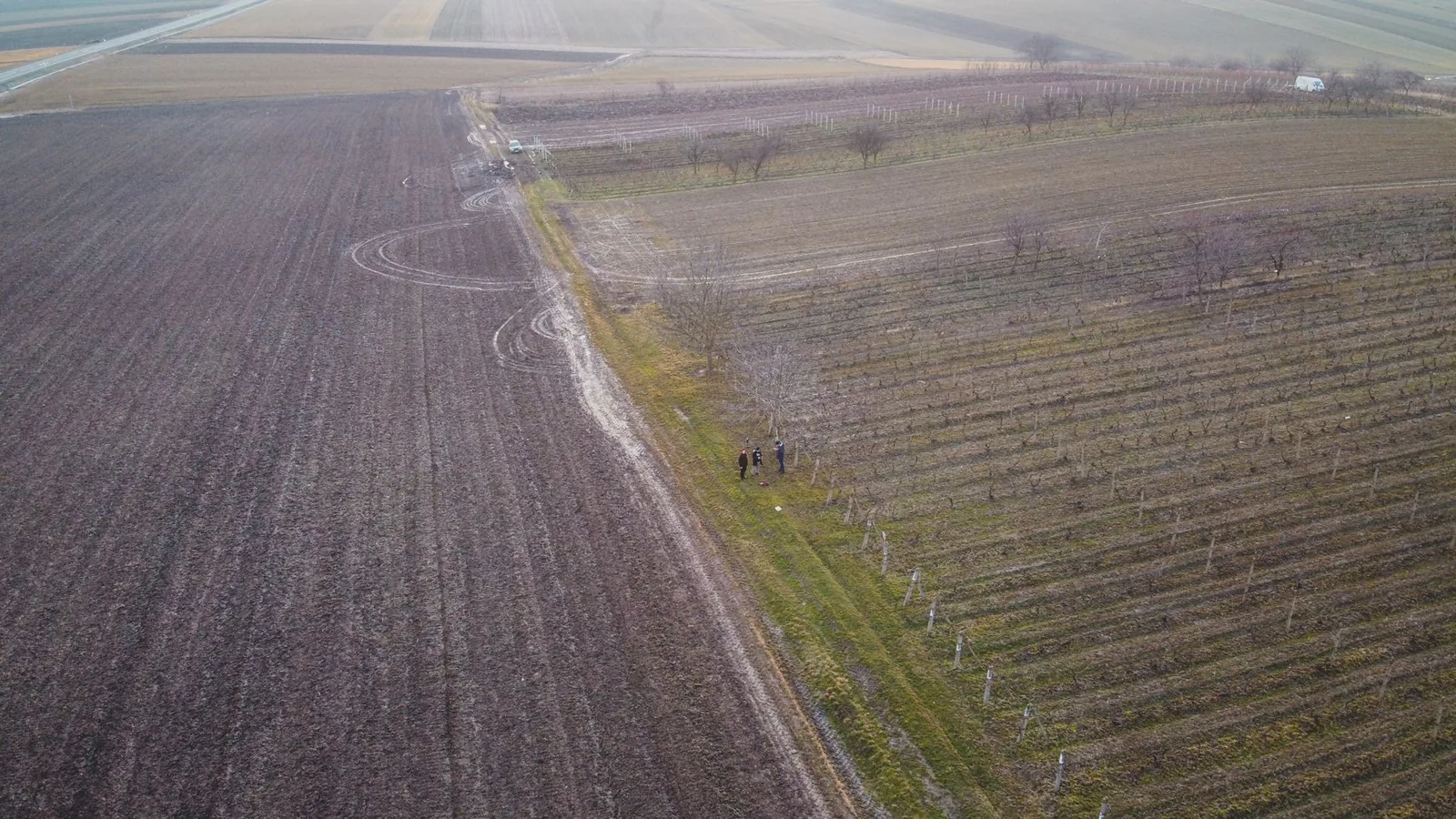 Drone shot capturing expansive farmland in Săcueni, Romania, showcasing cultivation patterns