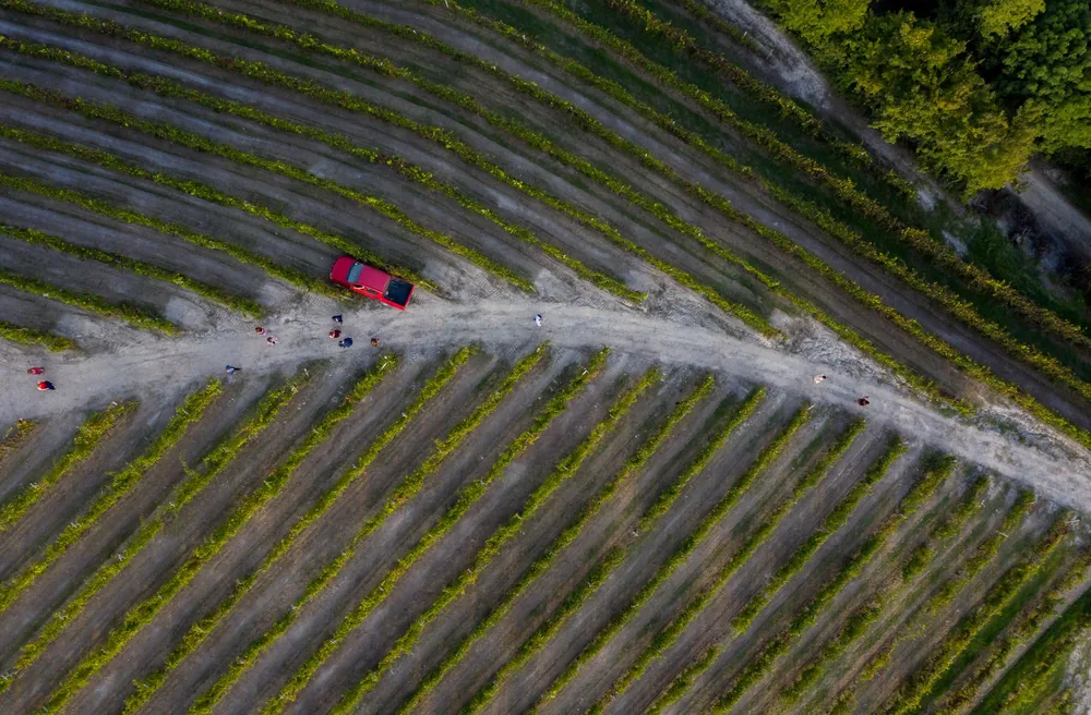Drone shot of a red vehicle on a dirt road through agricultural fields. Ideal for rustic landscapes