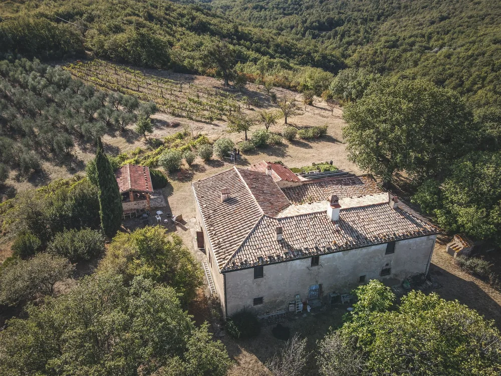 Drone shot of a rural farmhouse surrounded by lush greenery and vineyards