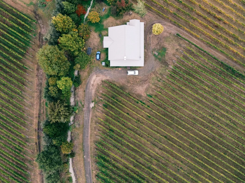 Drone shot of a vineyard with a farmhouse surrounded by autumn colors, showcasing cultivated vines