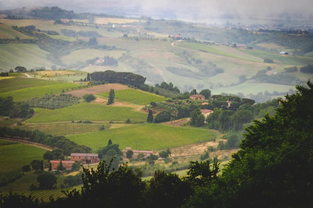 Drone view of scenic landscape with green fields surrounded by trees near small village in foggy weather in summertime in nature