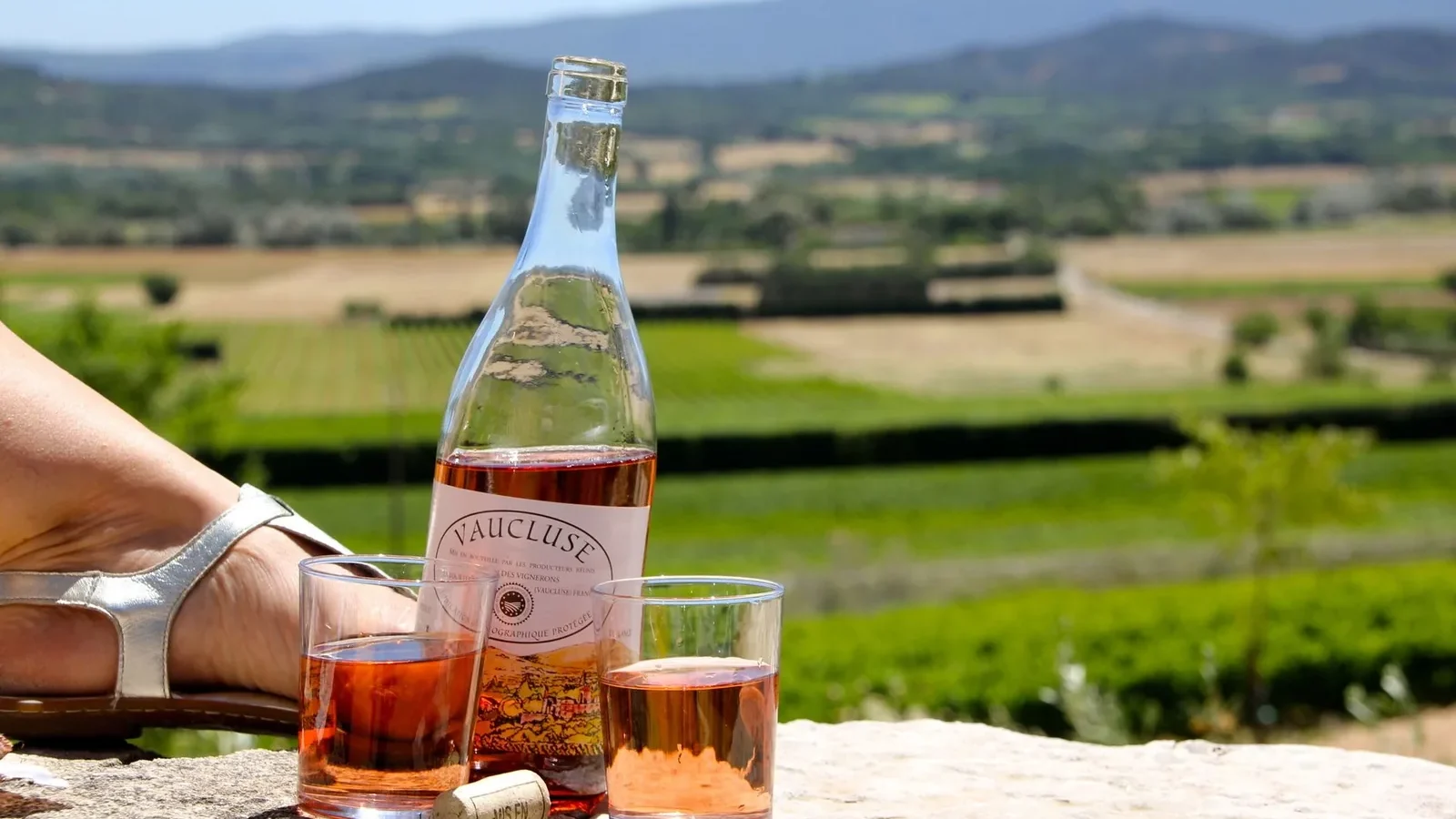 Enjoying a glass of rosé wine with a scenic vineyard backdrop in warm sunlight