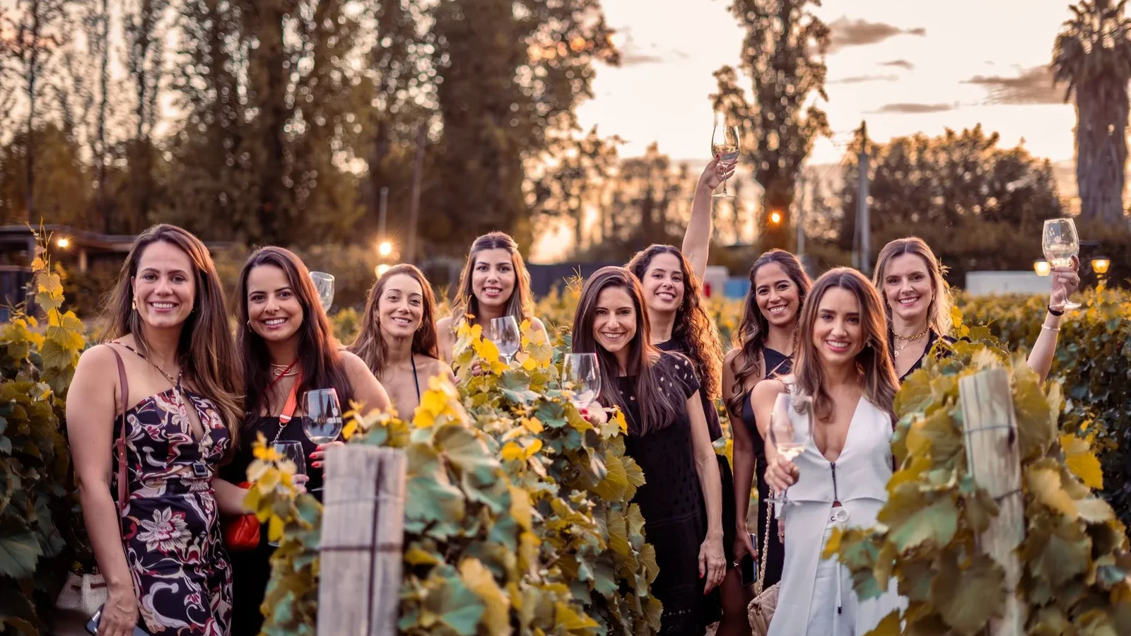 Enjoying a joyful gathering in a vineyard at sunset, celebrating with wine and friends