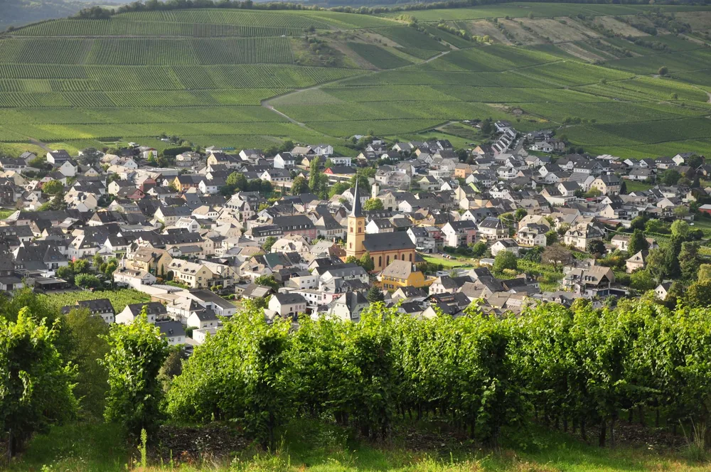 European town nestled among lush vineyards under a clear sky