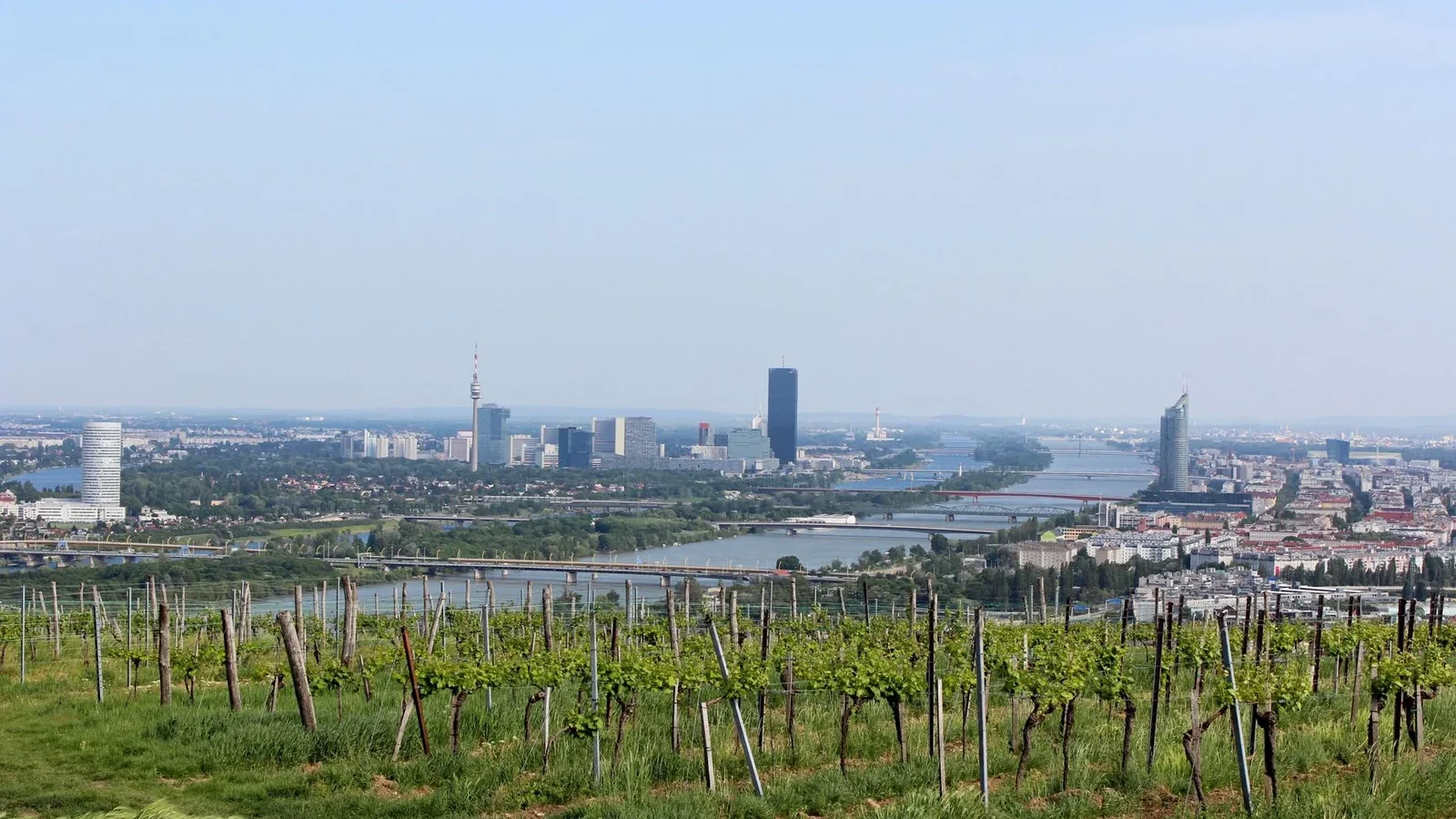 Experience the Vienna skyline and lush vineyards from a vantage point