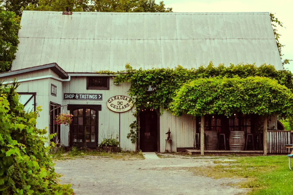 Explore a rustic vineyard cellar surrounded by lush greenery, offering tastings and charming ambiance