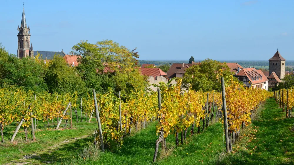 Explore a scenic vineyard with charming village and historic church, set against a blue sky