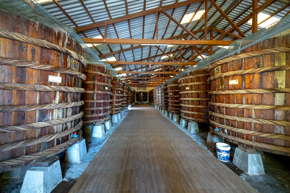 Explore a traditional wooden barrel storage cellar with large containers lined up inside an industrial facility
