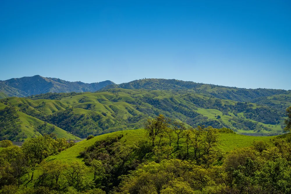 Explore the lush, green rolling hills of Sunol, California under a clear blue sky