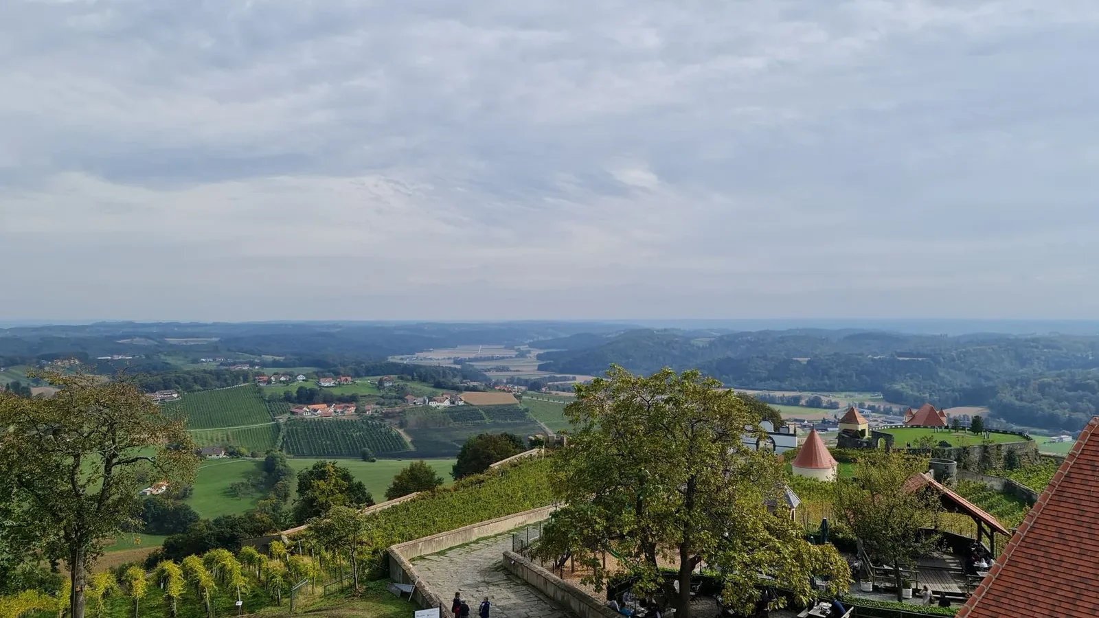 Explore the vast countryside landscape with vineyards and rural village under an overcast sky