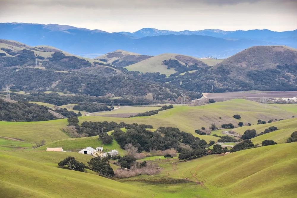 Farm in north Salinas, CA
