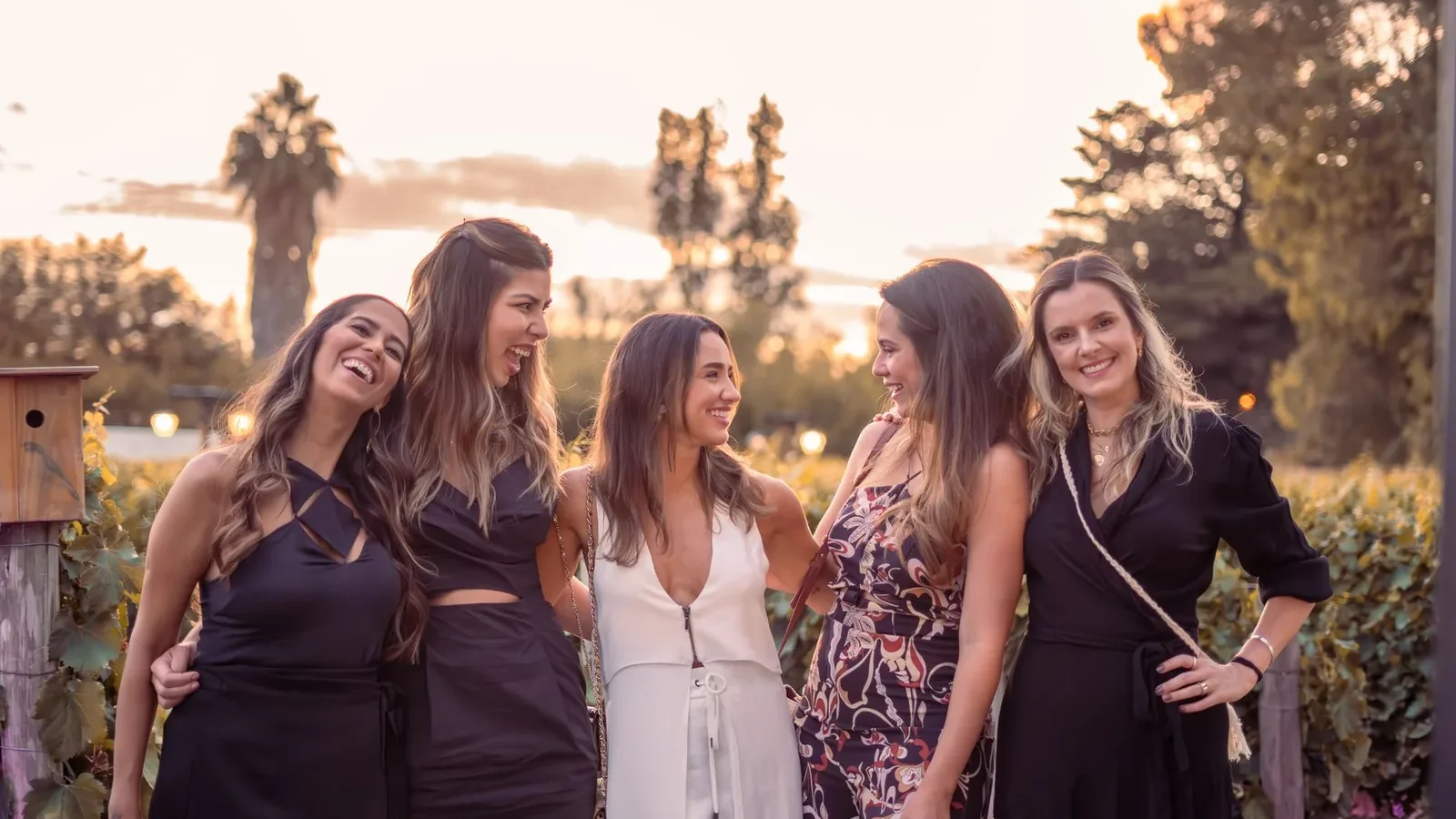 Five women enjoying a sunset gathering with elegance and smiles outdoors