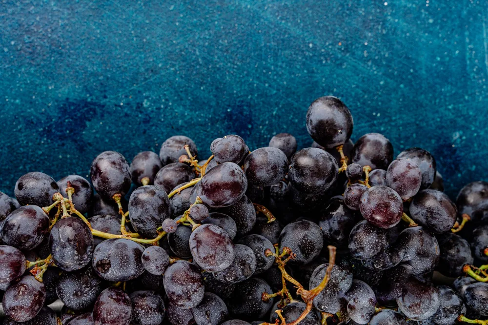 Fresh black grapes covered in water droplets against a textured blue background