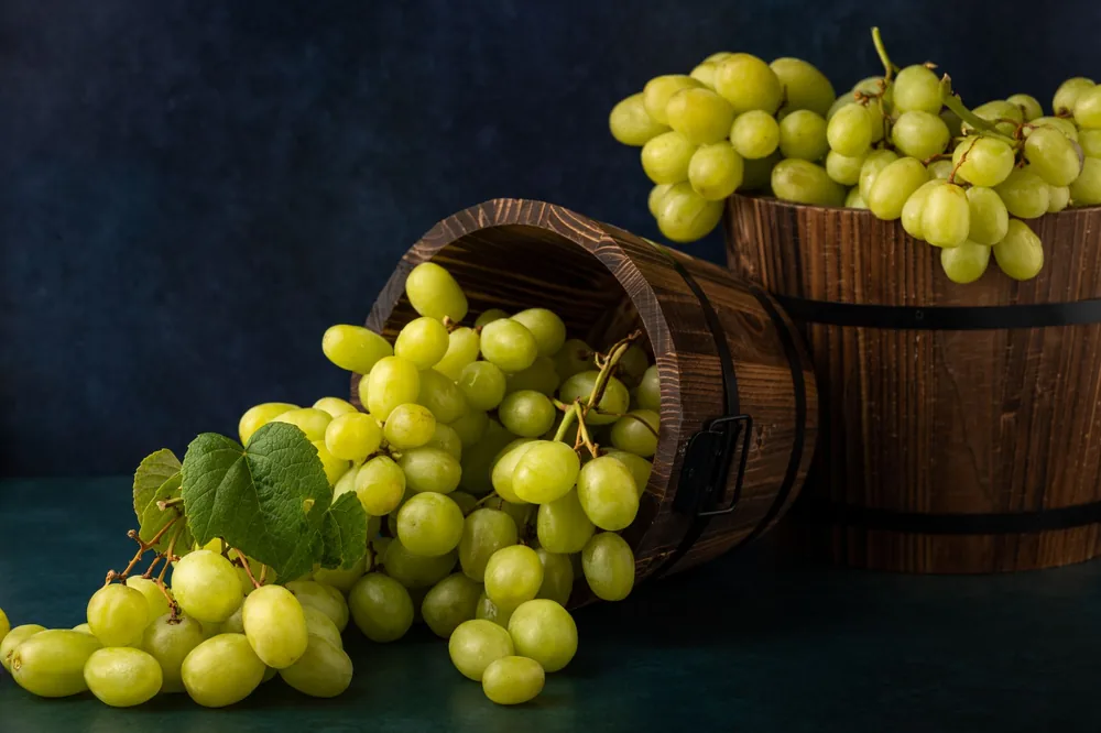Fresh green grapes spilling from wooden barrels, emphasizing freshness and harvest