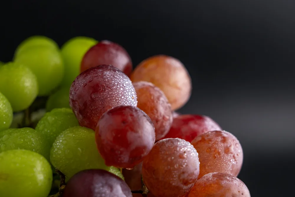 Fresh red and green grapes with dewdrops against a black background, showcasing their colors