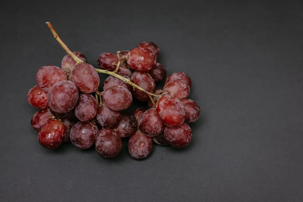 Fresh red grapes on a dark background, showcasing ripe and healthy fruits