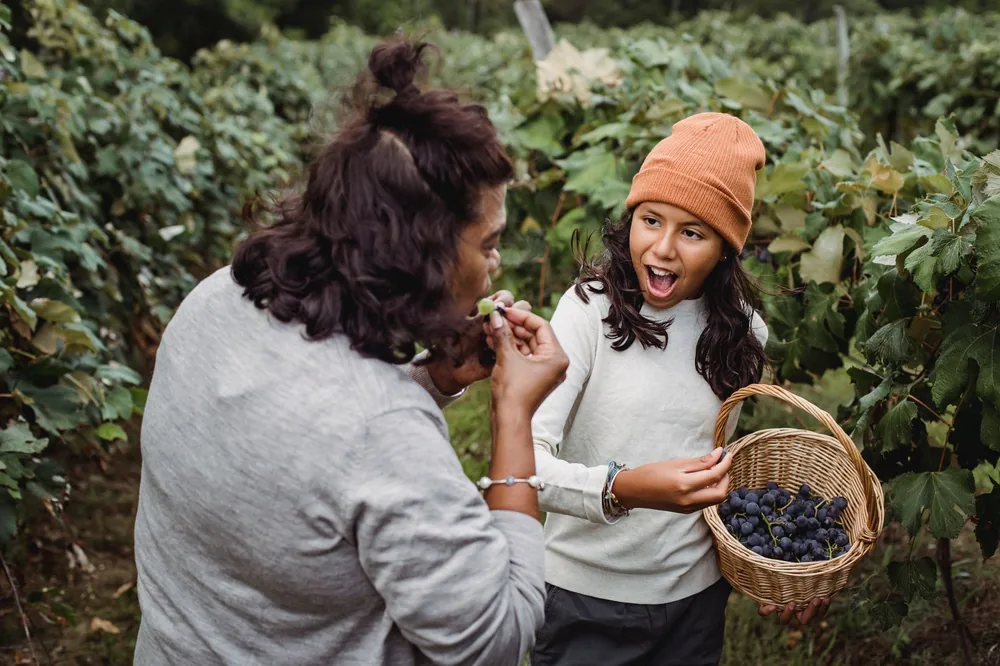 From above of adult ethnic woman eating fresh grapes near surprised teen with basket on farmland
