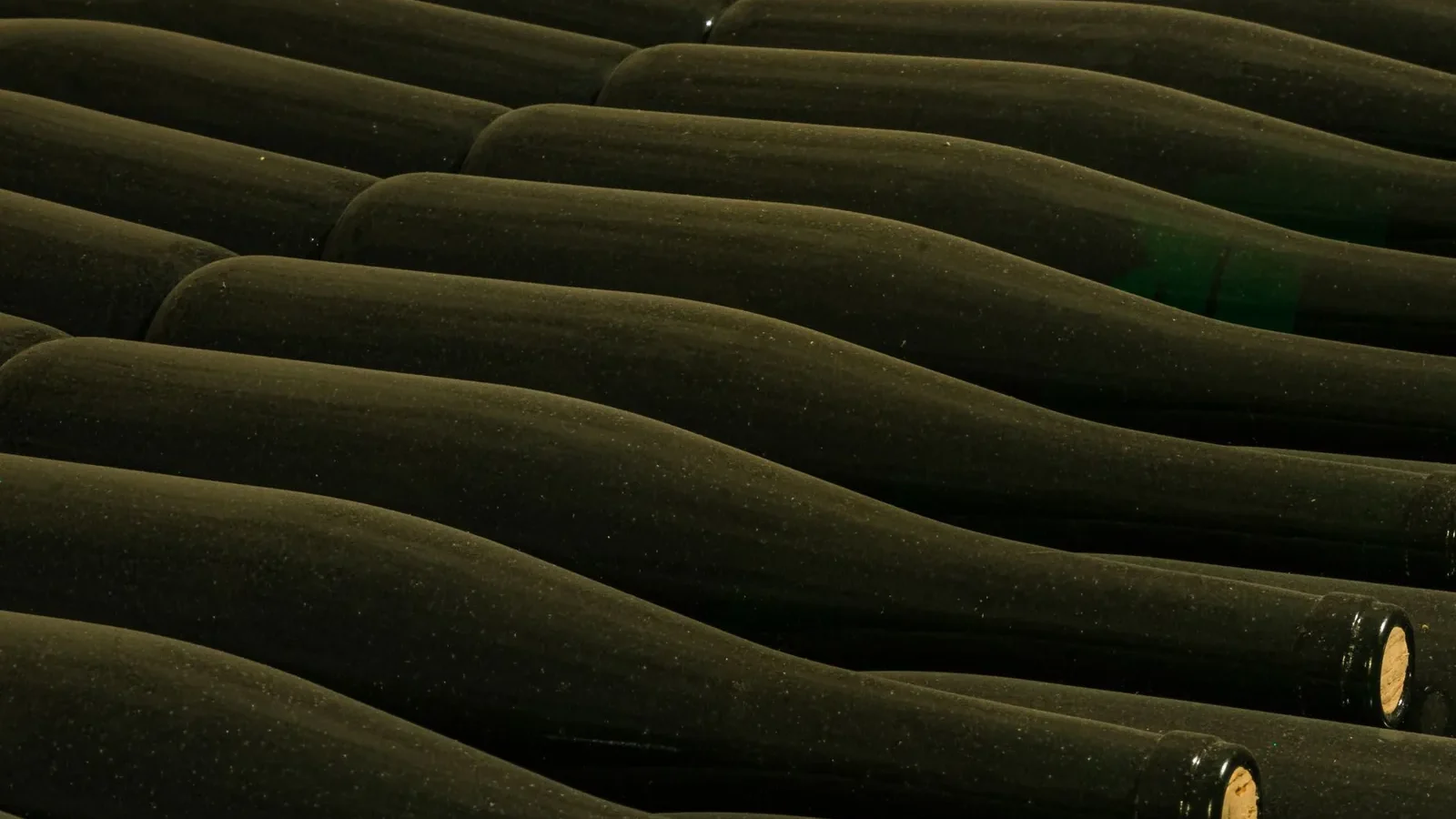 From above of glass bottles placed side by side in rows in winery cellar