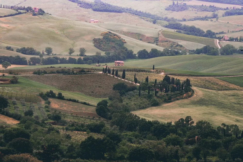From above of plantations with green trees located on hilly terrain near small settlement on summer day in countryside in nature