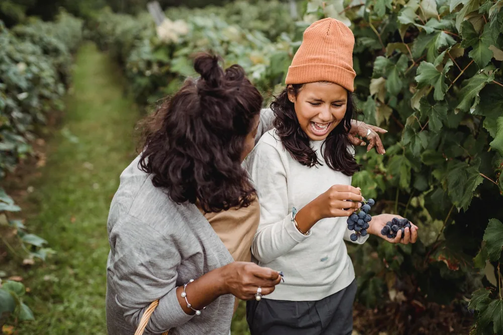 From above of unrecognizable ethnic woman embracing smiling daughter with bundles of grapes while interacting on path between vines