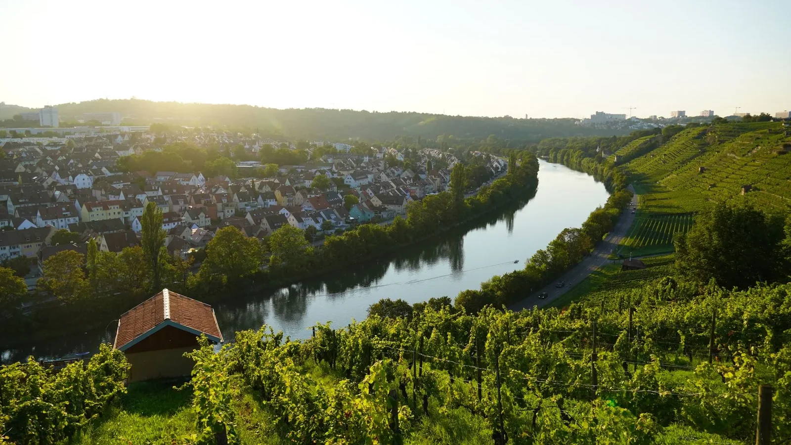 Golden hour view of a vineyard by a meandering river with a small town in the background, peaceful ambiance
