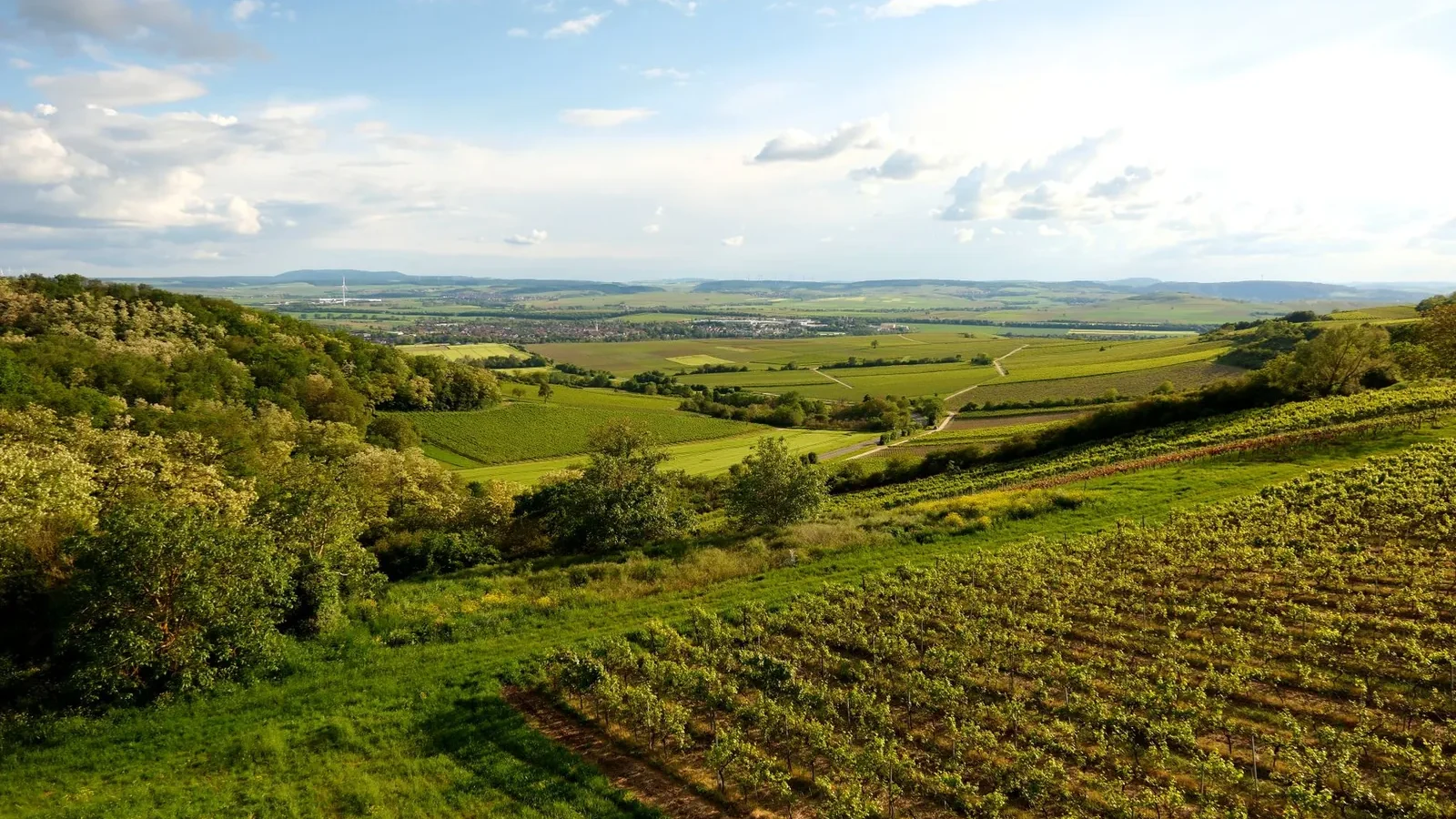 Green fields and rolling hills under a sunny sky, perfect for nature lovers