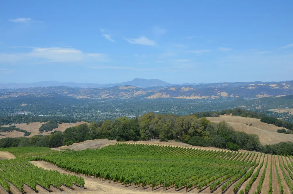 Green grass field and mountains during daytime